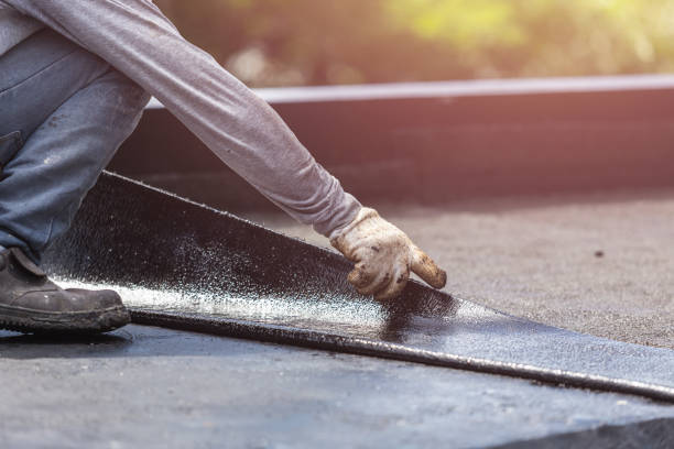 Professional Interior Drainage System technician working in Pewamo, MI